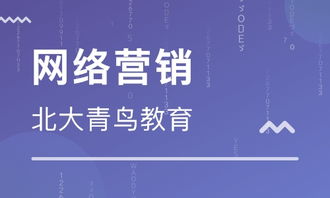 福州网络营销高级培训