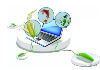 农产品网络销售面临的问题与对策分析