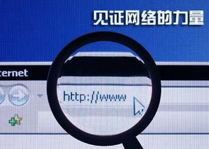 网络营销 门窗企业破局转型的智慧新战场