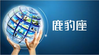 网络营销全攻略 从核心步骤到方案制定